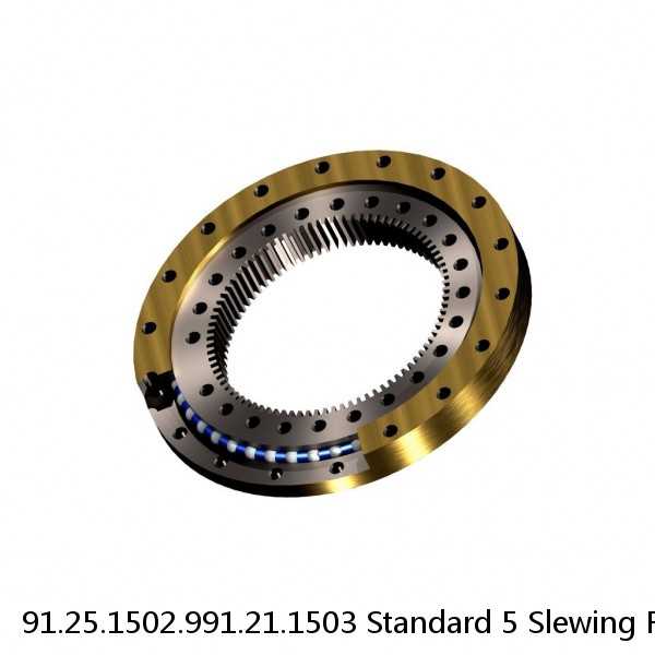 91.25.1502.991.21.1503 Standard 5 Slewing Ring Bearings