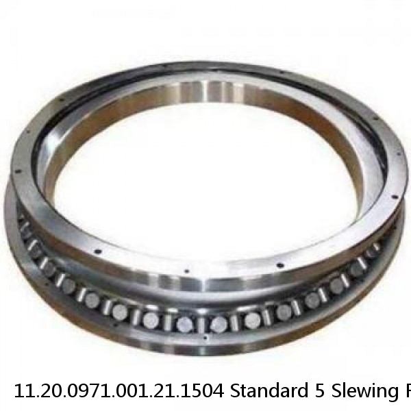 11.20.0971.001.21.1504 Standard 5 Slewing Ring Bearings