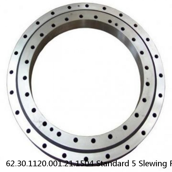 62.30.1120.001.21.1504 Standard 5 Slewing Ring Bearings