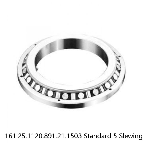 161.25.1120.891.21.1503 Standard 5 Slewing Ring Bearings