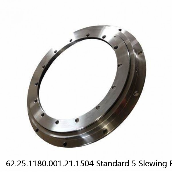 62.25.1180.001.21.1504 Standard 5 Slewing Ring Bearings