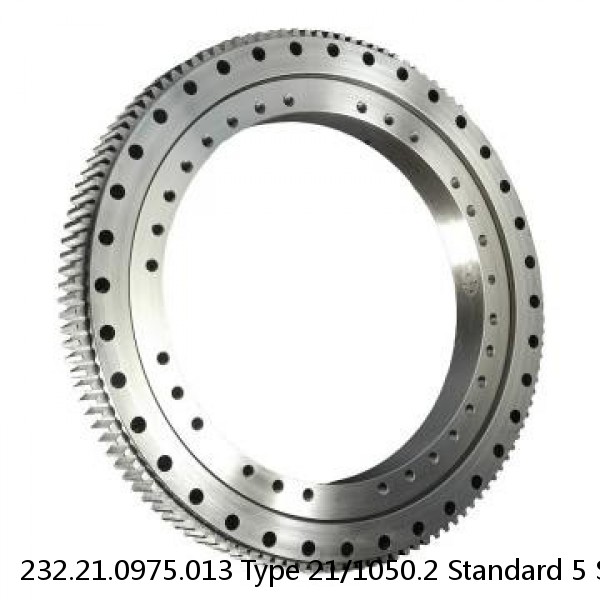 232.21.0975.013 Type 21/1050.2 Standard 5 Slewing Ring Bearings