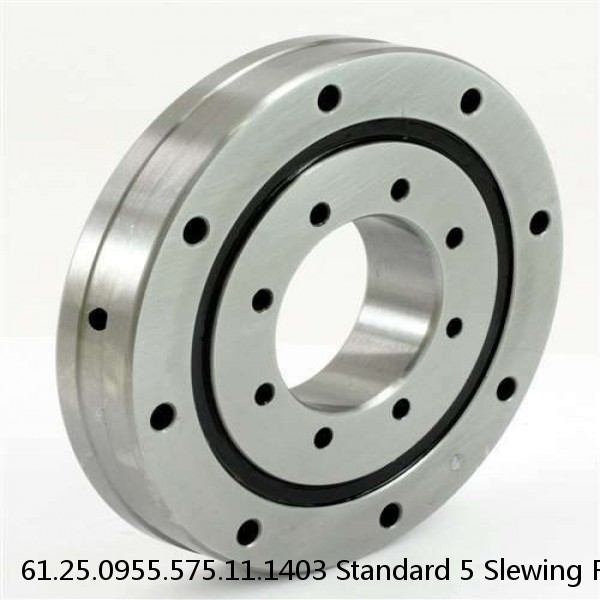 61.25.0955.575.11.1403 Standard 5 Slewing Ring Bearings