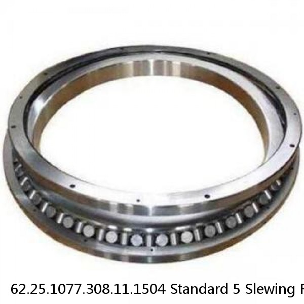 62.25.1077.308.11.1504 Standard 5 Slewing Ring Bearings