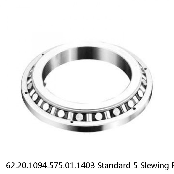 62.20.1094.575.01.1403 Standard 5 Slewing Ring Bearings