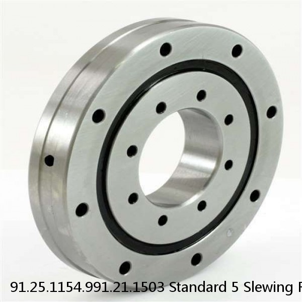 91.25.1154.991.21.1503 Standard 5 Slewing Ring Bearings