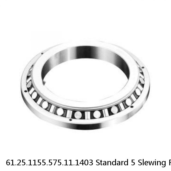 61.25.1155.575.11.1403 Standard 5 Slewing Ring Bearings