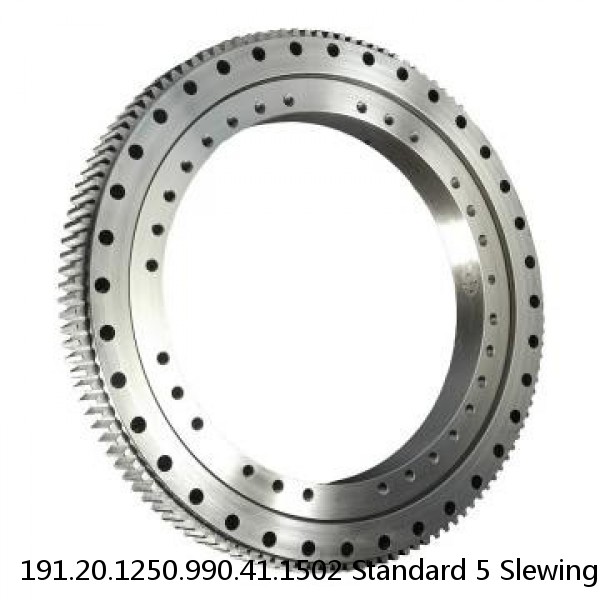 191.20.1250.990.41.1502 Standard 5 Slewing Ring Bearings